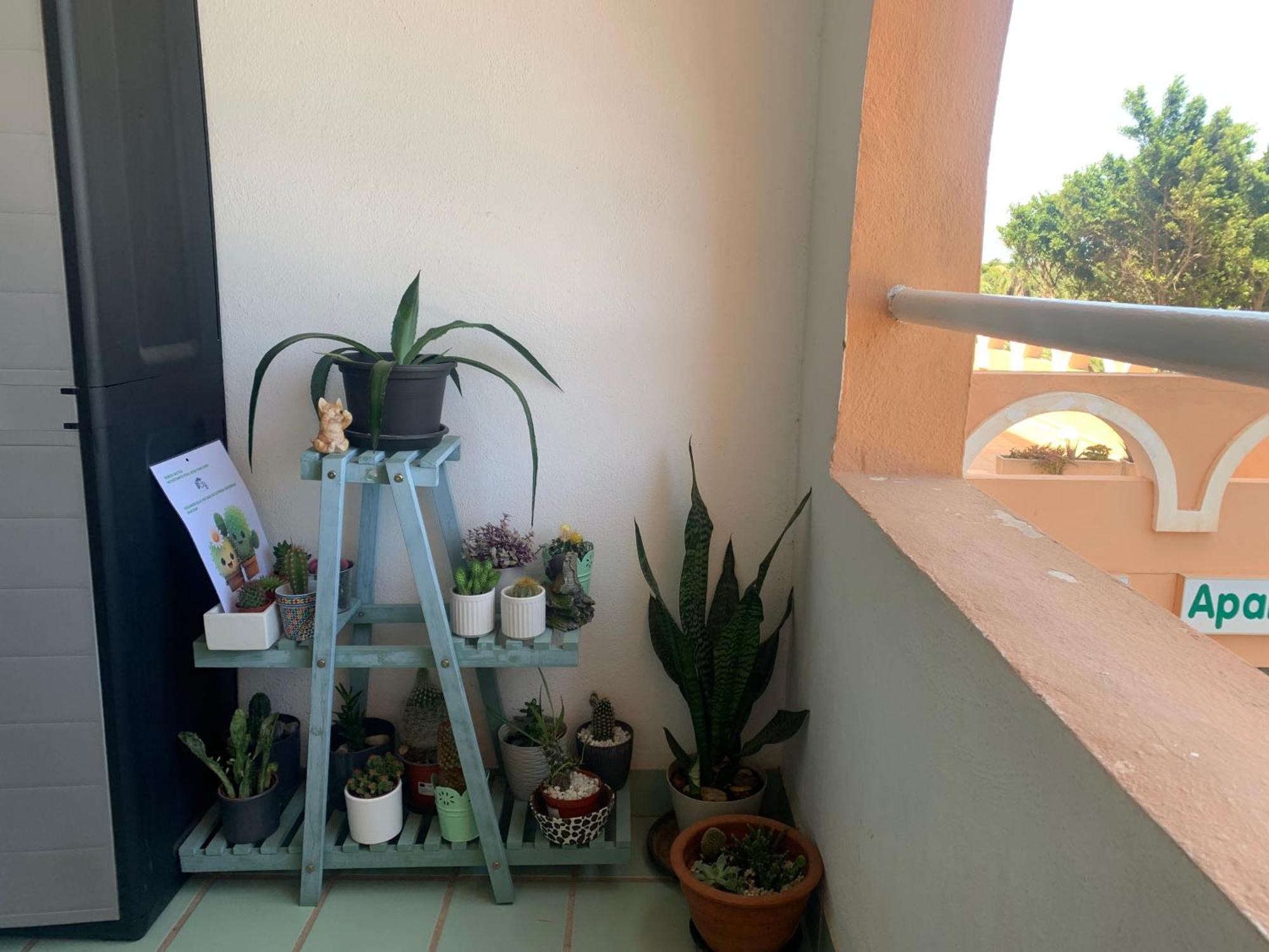 רוקאוטס דה מר Estudio Roquetas מראה חיצוני תמונה